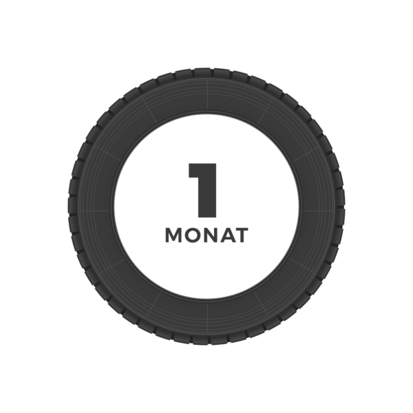 Firmeneintrag für 1 Monat